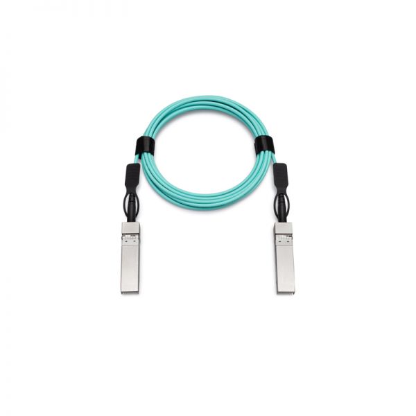 SFP-25G-AOC10M=
