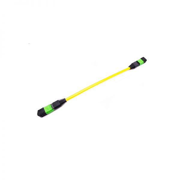 Neutral-MPOF-1M-MPOF-G.652D-12C-F-A-L